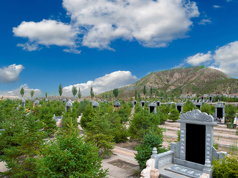 园区风景3.jpg