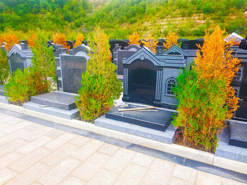 文章附图